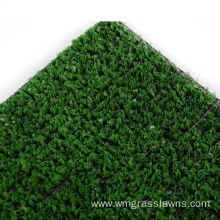 Carpet Grass Price for Golf